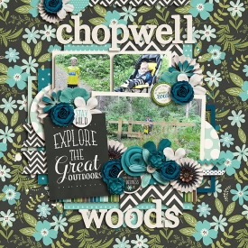 ChopwellWoods700.jpg