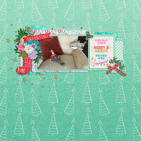 ChristmasShark_SSD.jpg