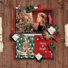 Christmastime_RR_-_Ella_11_27.jpg