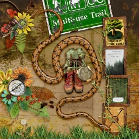 Chutes-_-Ladders-Layout---Adventure-Walk.jpg