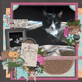 Cleo_s-Last-Pose.gif