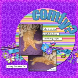 Comfy-copy.jpg