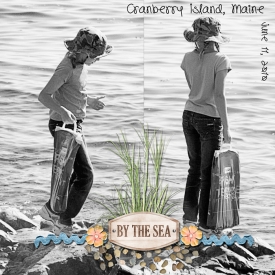Cranberry_Island_web.jpg