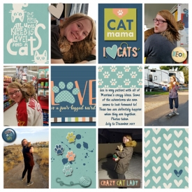Crazy_Cat_Lady_web.jpg