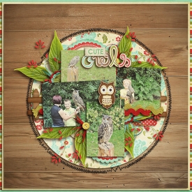 CuteOwls-700.jpg