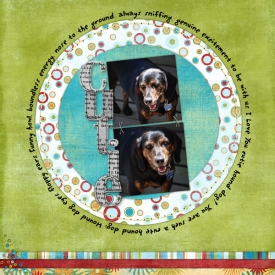 Cutie_hounddog.jpg