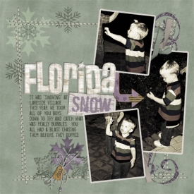DD-Florida-Snow.jpg