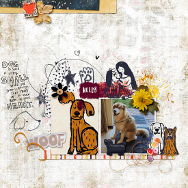 DOG-Web1.jpg