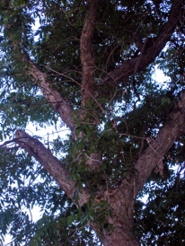 DSCF1977.jpg