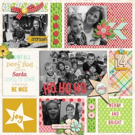 DSI-DEC2014-Merry-and-Bright.jpg