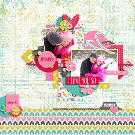 DSI-JAN2016-I-Love-You-So.jpg