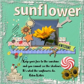 DSI-What_s-In-A-Name-Sunflower-resized.jpg