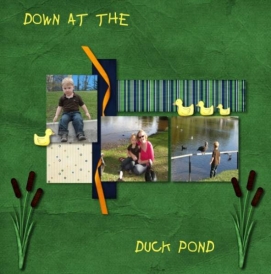 DUCK_POND.JPEG