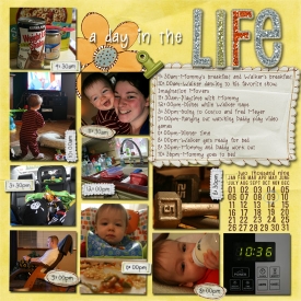 DayintheLifeWeb.jpg