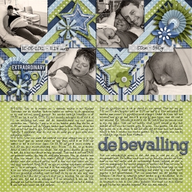 De-bevalling-web.jpg