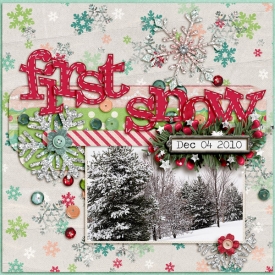 DecDaily-firstsnowweb.jpg