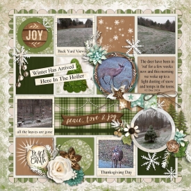 Dec_2b-kcroninbarrow-amd-peaceandjoy_Custom_.jpg