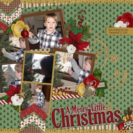 Decoratingthetree_12-2-12_-web.jpg