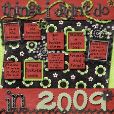 Didnt_do_2009_copy.jpg