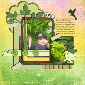 Dillon-Star-Tree--DL06-web.jpg