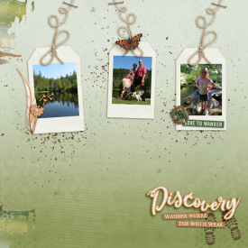 Discoveryweb1.jpg