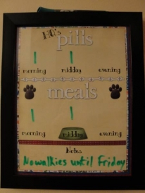 Dog-Track-Board.jpg