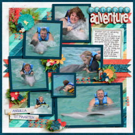 Dolphin-Adventure.jpg
