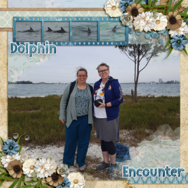 DolphinEncounterweb.jpg