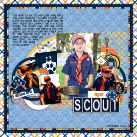 DrewTigerScout.jpg