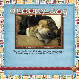 Droopy-Dog.jpg