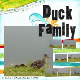 Duck-Family.jpg