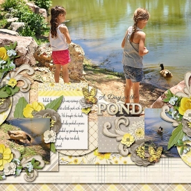 DuckPond-copy.jpg