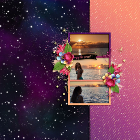 EnjoyTheSunsetweb1.jpg