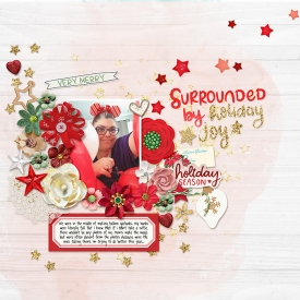 FDD---Nestled---SSD-Jingle-_-Mingle-copy.jpg