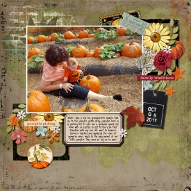 FDD-template-challenge---TS-Pumpkin-Picking-copy.jpg