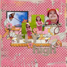 FLY-highweb.jpg