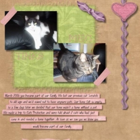 FUR_BABIES.JPEG
