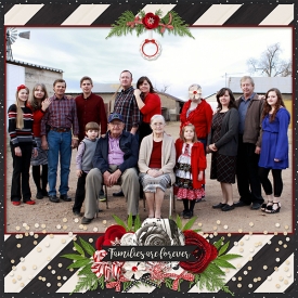 Family-Christmas-web.jpg