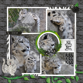 Family2013_SnowLeopard_700x700_.jpg
