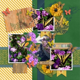 Family2019_Butterfly_700x700_.jpg