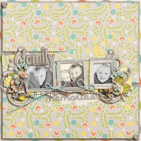 FamilyMemories_.jpg