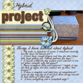 Feb-02_HybridProject.jpg