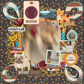 Feb-4_-Scrap-A-Bad-Photo-challenge.jpg