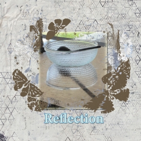 Feb_12_Shoot_and_Scrap_8x8_72.jpg