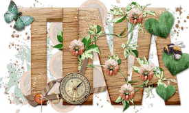 FebruarySIggy_wendypKcroninBarrow_NatureBeauty.jpg