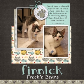 Finnick-Freckle-Beans-web.jpg