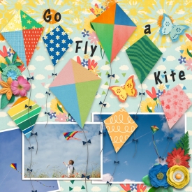 Fly-a-Kite1.jpg