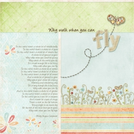 Fly1.jpg