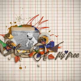 FlyFree_.jpg