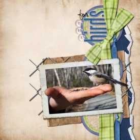 ForTheBirdsLOSample.jpg